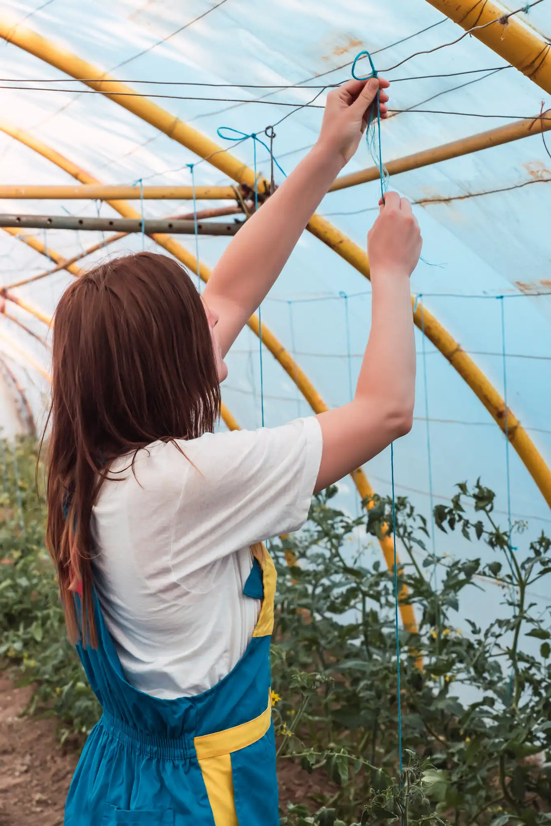 Comment fixer une serre en polycarbonate au sol ?