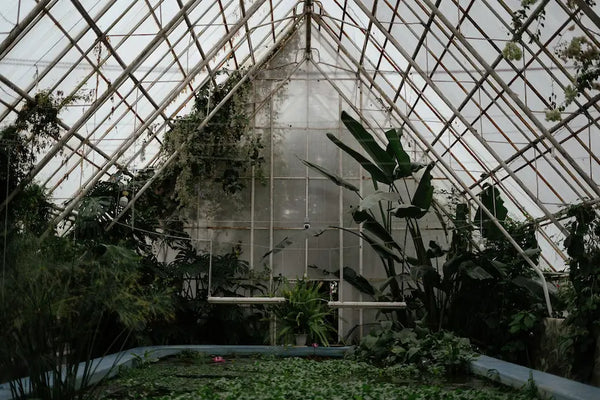 Serre polycarbonate ou verre : quel laisse passer le plus de lumière ?