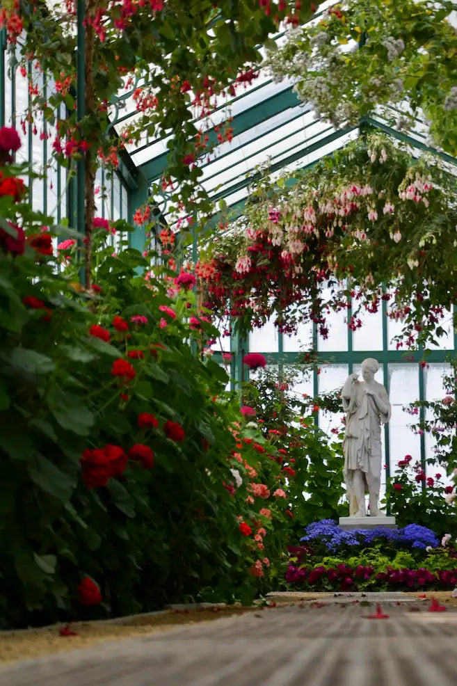 Serre de jardin 500€ vs 1500€ : Comparatif complet 2026