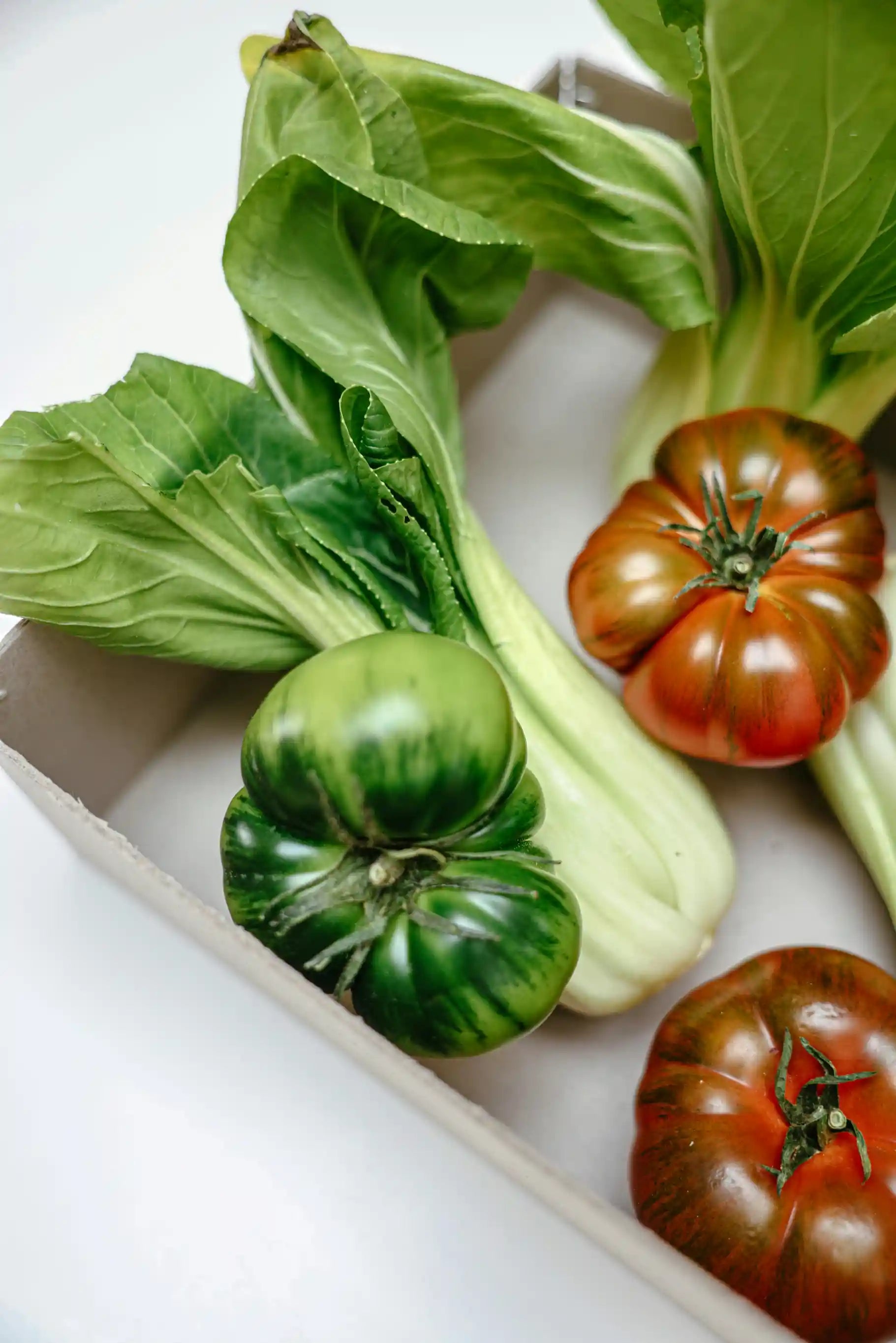 Comment faire pousser des légumes bio sous serre ? Le guide complet