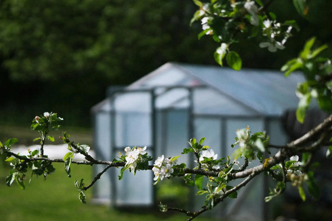 Meilleure serre de jardin en polycarbonate