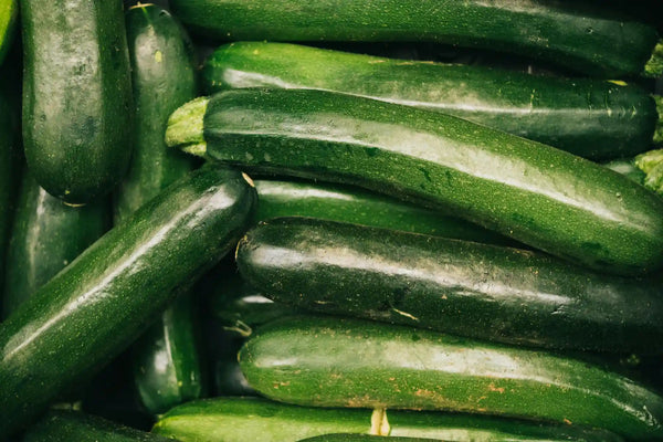 Cultiver des courgettes sous serre en polycarbonate : tout ce qu'il faut savoir