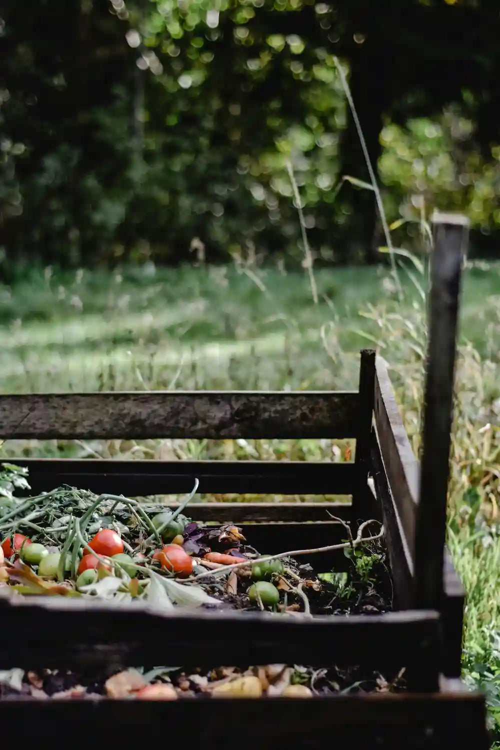 Serre et compost : l’astuce qui change tout !