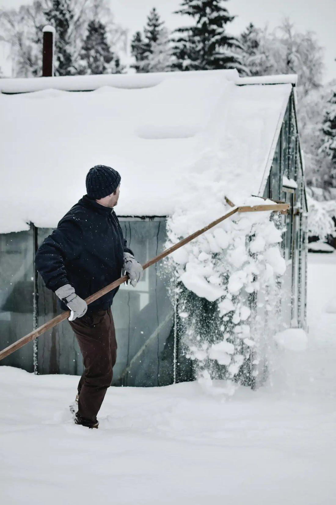 Serre Hiver : Ne laissez pas l’hiver stopper votre potager !