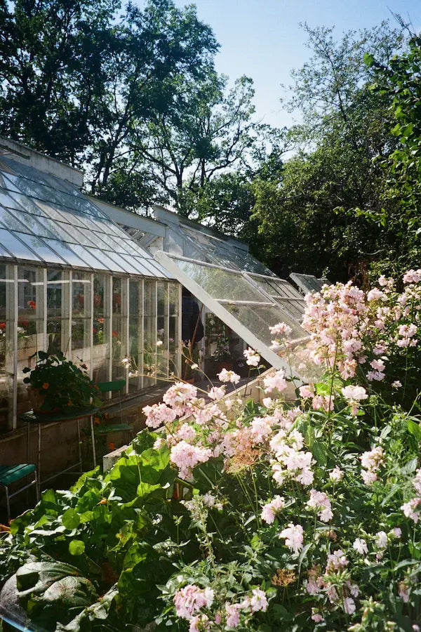 Serre adossée ou autoportante : quel choix pour votre jardin ?