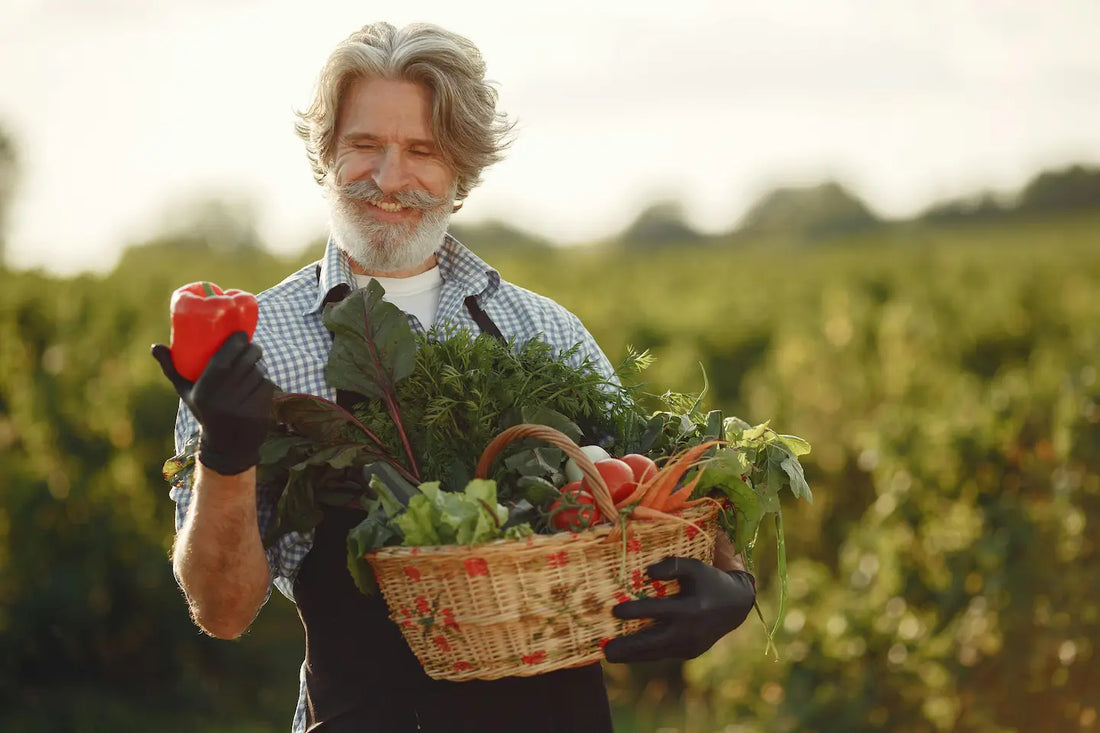 Cultiver en serre : les 10 plantes incontournables pour débuter