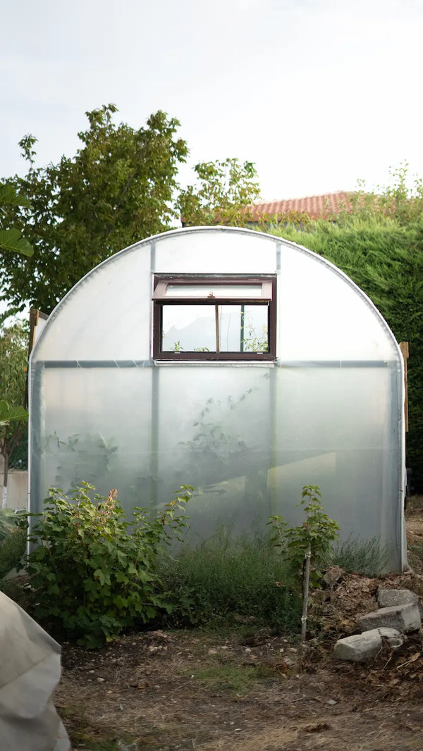 Serre 6 m² ou 12 m² : quelle surface choisir pour son projet ?
