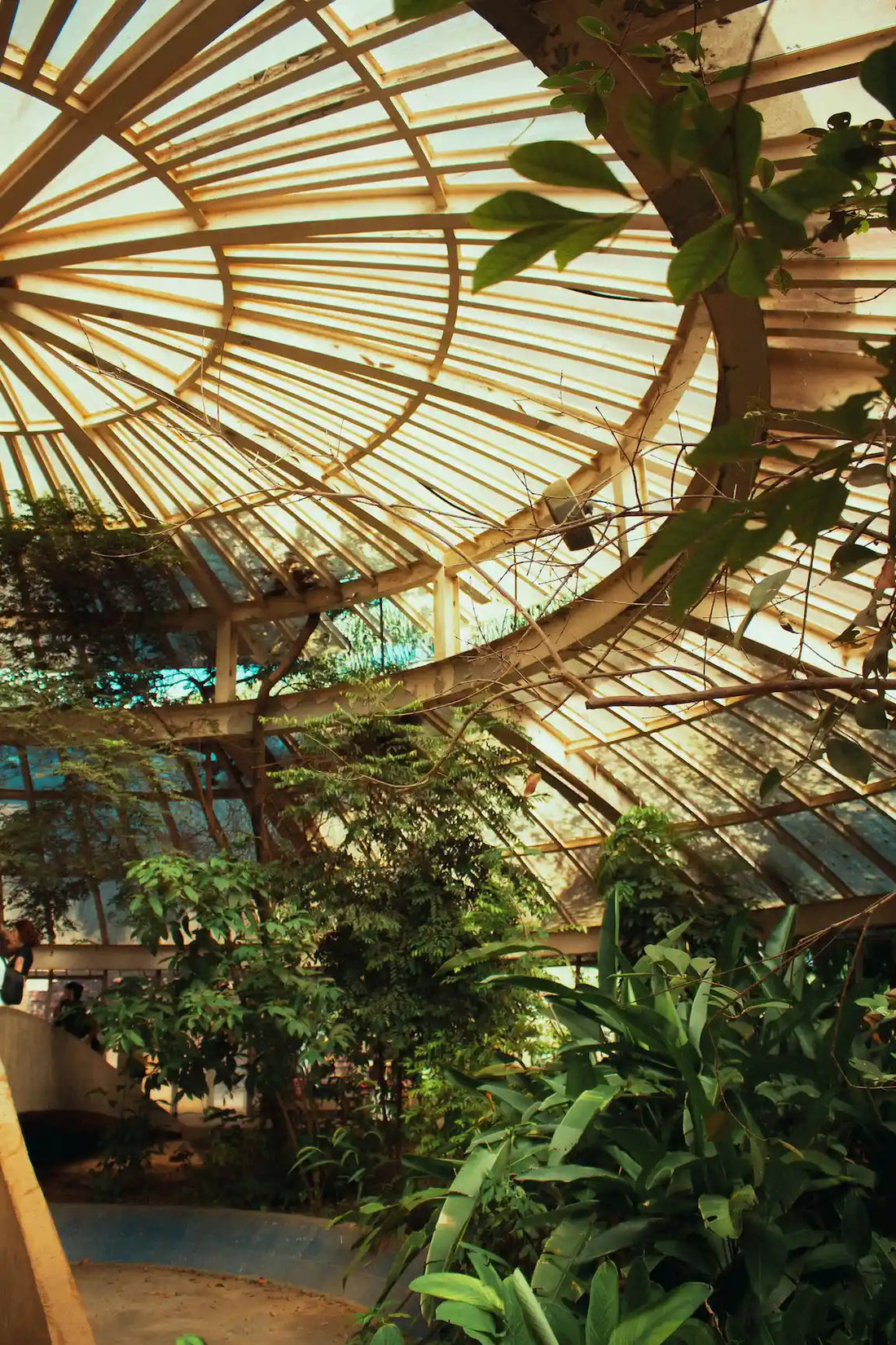 Ventilation de serre de jardin : avantages et erreurs à éviter