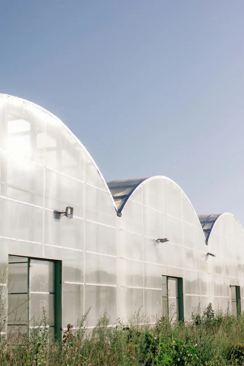 Serre : quelle épaisseur de polycarbonate choisir, 4 ou 6 mm ?