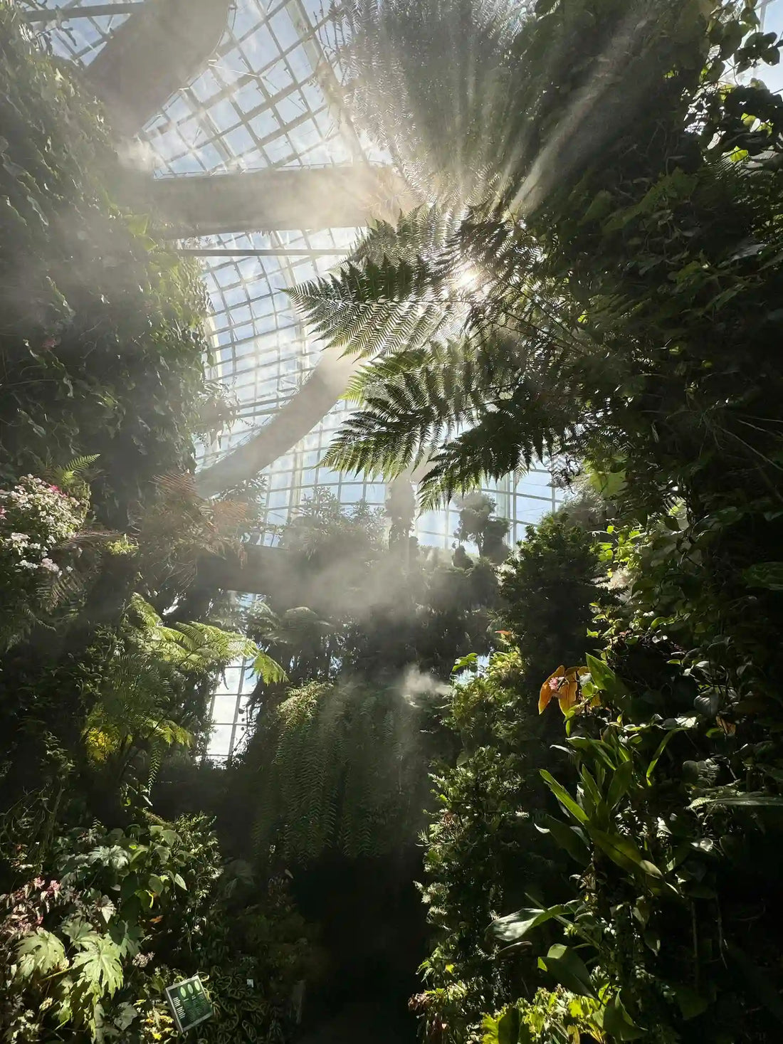 À quoi sert une serre de jardin ? Utilités, avantages et conseils 2026