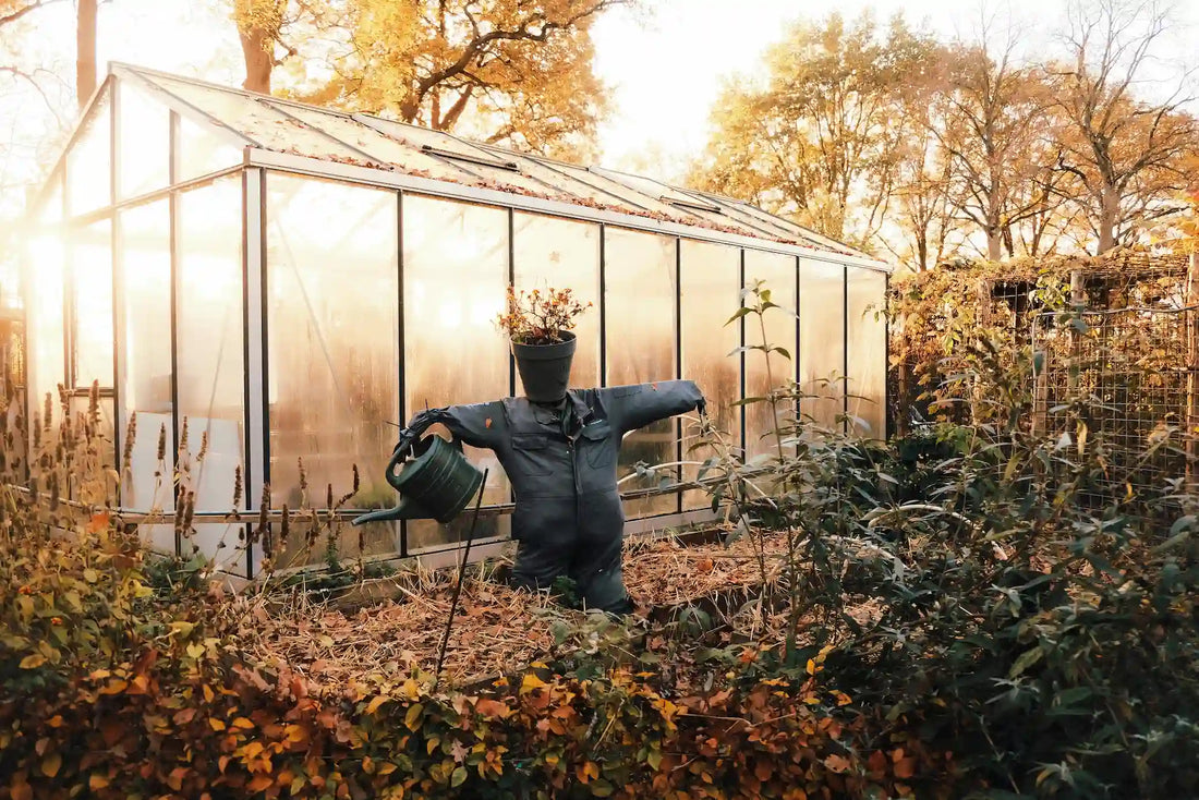 Isolation thermique serre polycarbonate : garder la chaleur en hiver