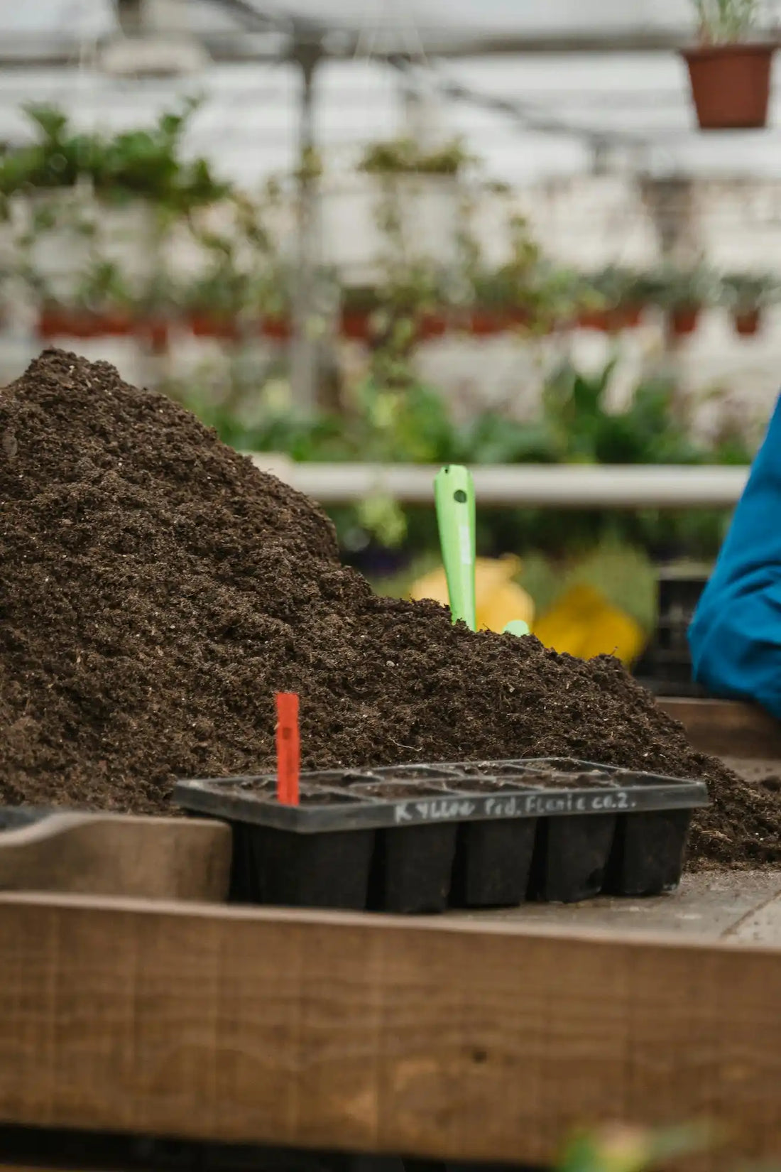 Quel terreau utiliser sous serre ? Comparatif selon les cultures