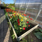 Bac de culture en bois pour serre de jardin en polycarbonate AtmoSerre