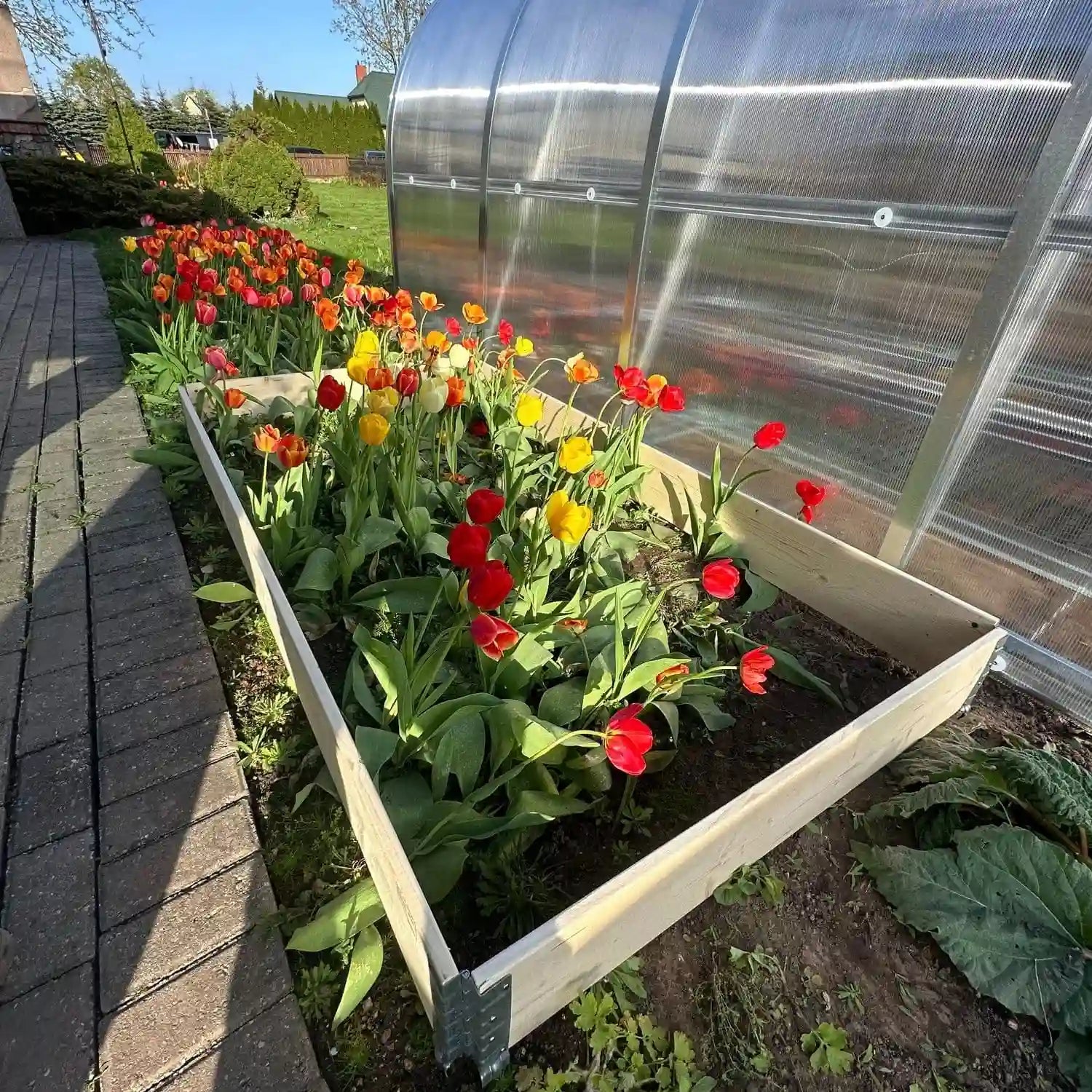 Bac de culture en bois pour serre de jardin en polycarbonate AtmoSerre