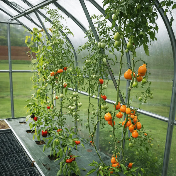 Kit de reliure végétale pour serre de jardin en polycarbonate AtmoSerre