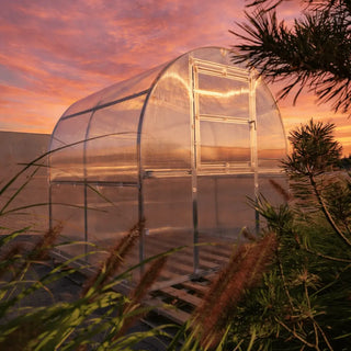Mini Serre de jardin polycarbonate compacte