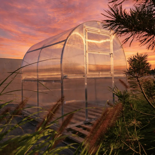 Mini Serre de jardin polycarbonate compacte