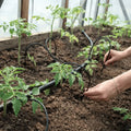 Système d’irrigation (goutte à goutte) automatique pour serre de jardin en polycarbonate AtmoSerre