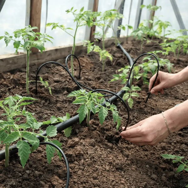 Système d’irrigation (goutte à goutte) automatique pour serre de jardin en polycarbonate AtmoSerre