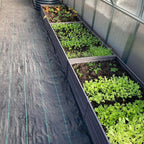 serre de jardin tunnel polycarbonate L'intemporelle (12m²) en 6mm vue intérieur culture salades - AtmoSerre