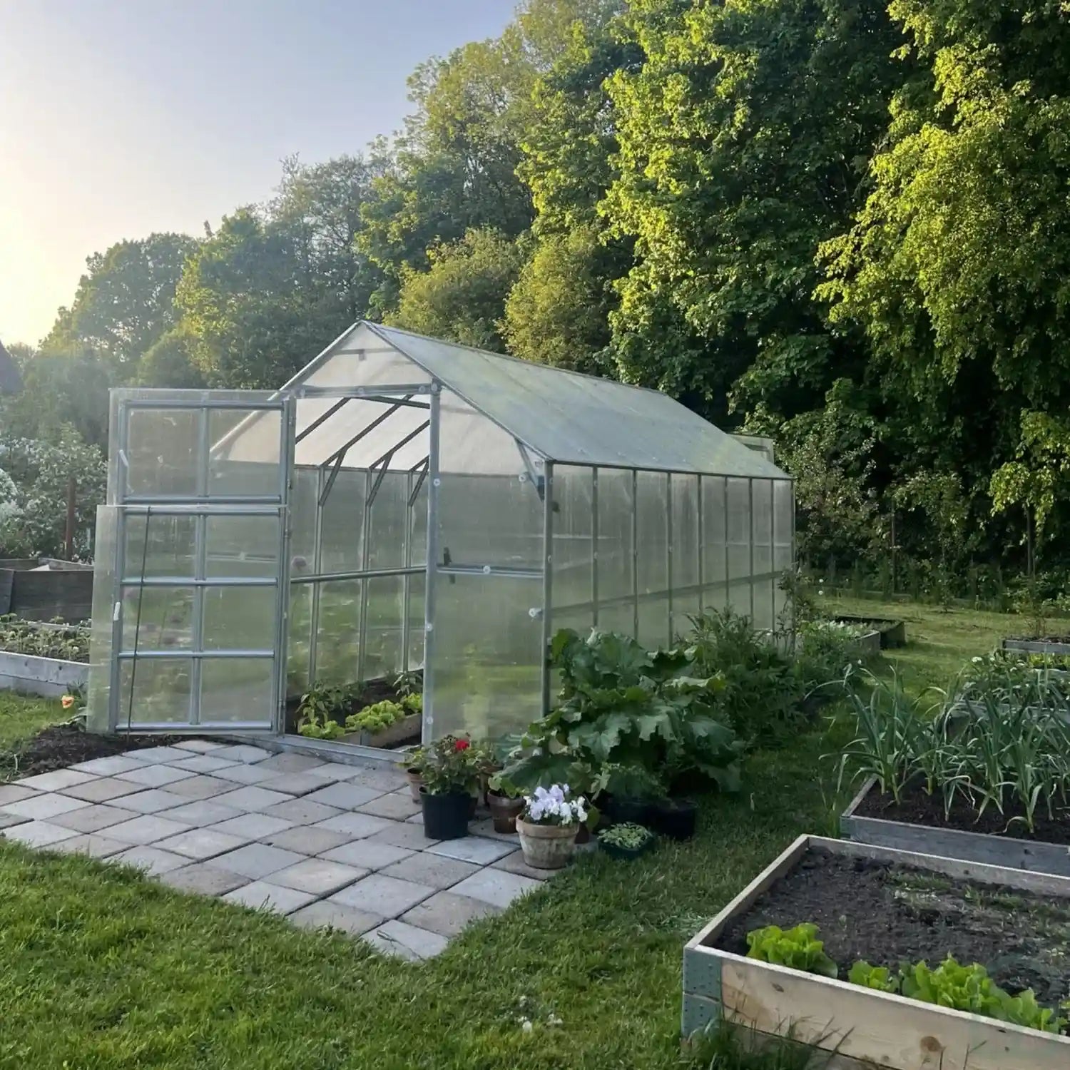 Serre de jardin polycarbonate signature